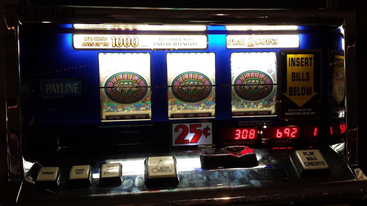 56d bet