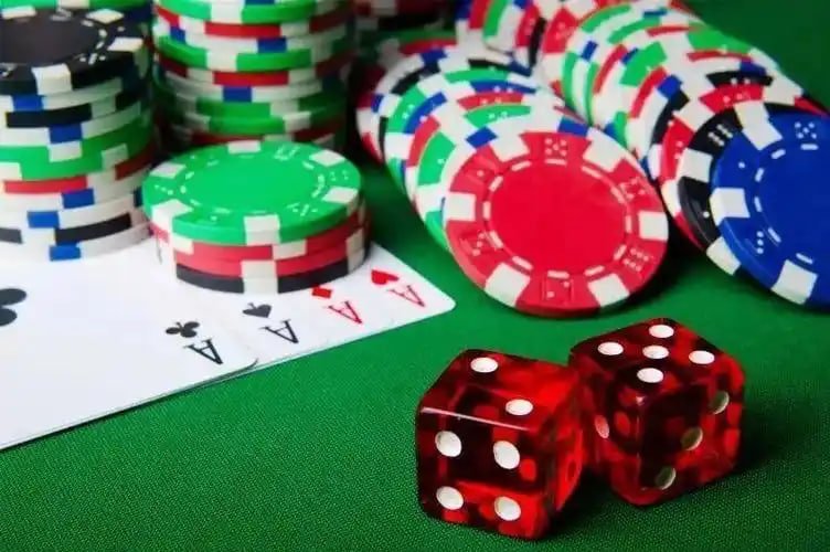56d bet 56d bet