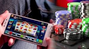 56d bet