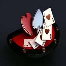 56d bet 56d bet